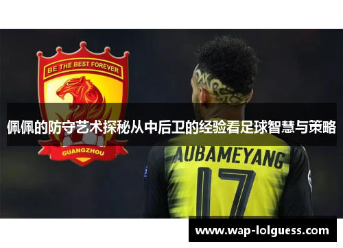 佩佩的防守艺术探秘从中后卫的经验看足球智慧与策略