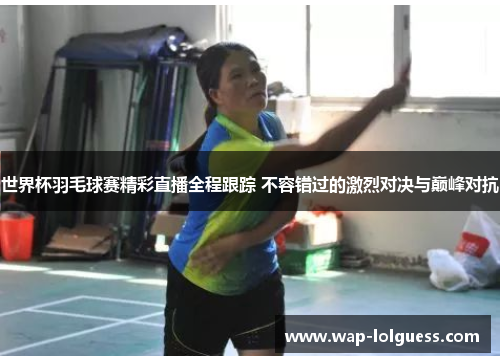世界杯羽毛球赛精彩直播全程跟踪 不容错过的激烈对决与巅峰对抗