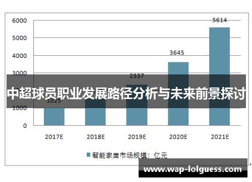 中超球员职业发展路径分析与未来前景探讨
